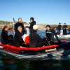Bateau des papies